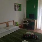 La Gatta Bianca 3*
