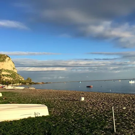 La Gatta Bianca