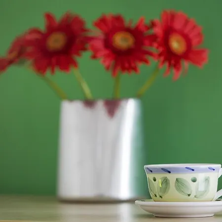 La Gatta Bianca Bed & Breakfast