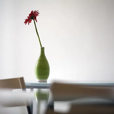 La Gatta Bianca Bed & Breakfast