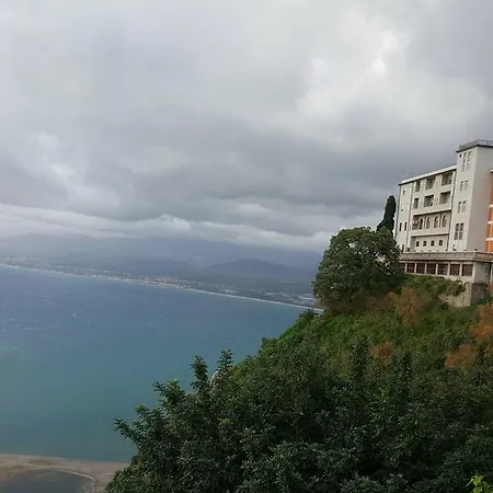 La Gatta Bianca Oliveri