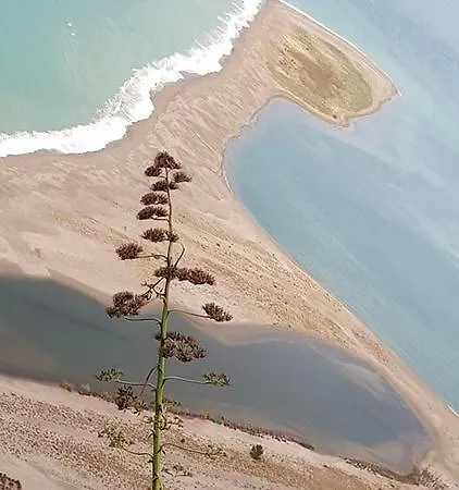 Bed & Breakfast La Gatta Bianca 3*