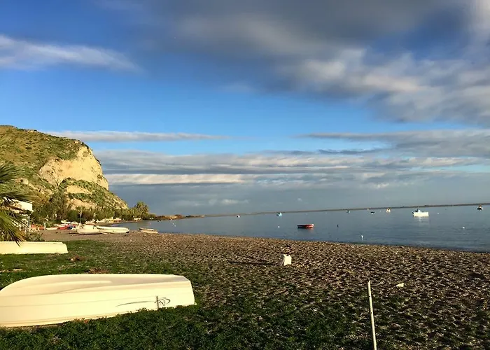 La Gatta Bianca